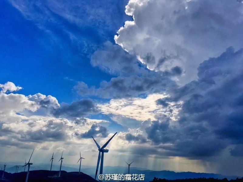 探索天下第一社区网，日本文化与信息的汇聚之地-第3张图片