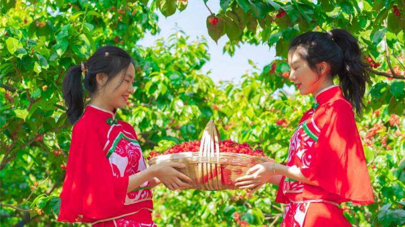 樱桃交友聊天怎么下载樱桃聊天交友平台，开启社交新纪元-第2张图片