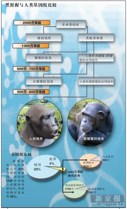 人类DNA与动物DNA的结合可能性探讨-第1张图片