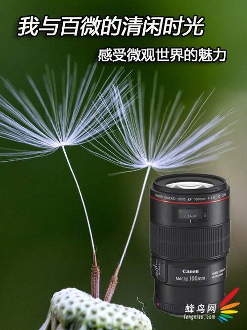 蜂鸟影院在线观看免费完整版探索色播播影院的魅力世界