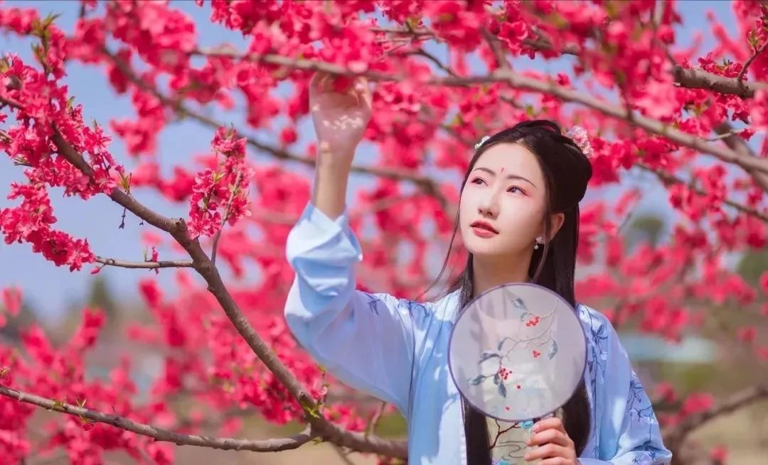 桃花在线观看视频动漫_第1集桃花盛开，在线观看视频的美丽之旅-第1张图片