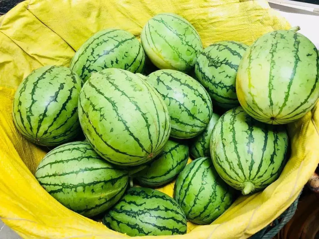 麻豆五彩斑斓的童年记忆——色豆