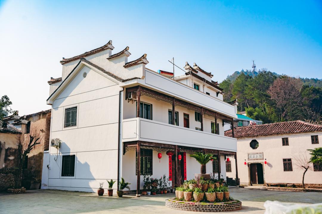 乡村乱清湖秀英结局是什么乡村乱象的背后与思考-第2张图片