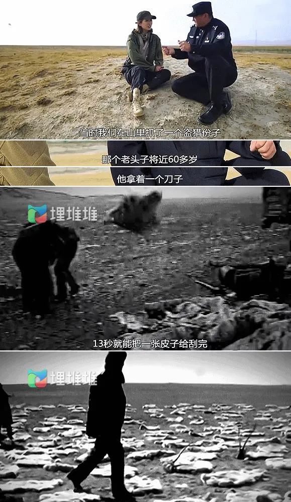 狭盗猎车的秘籍狭盗猎车，秘籍的探索与解读
