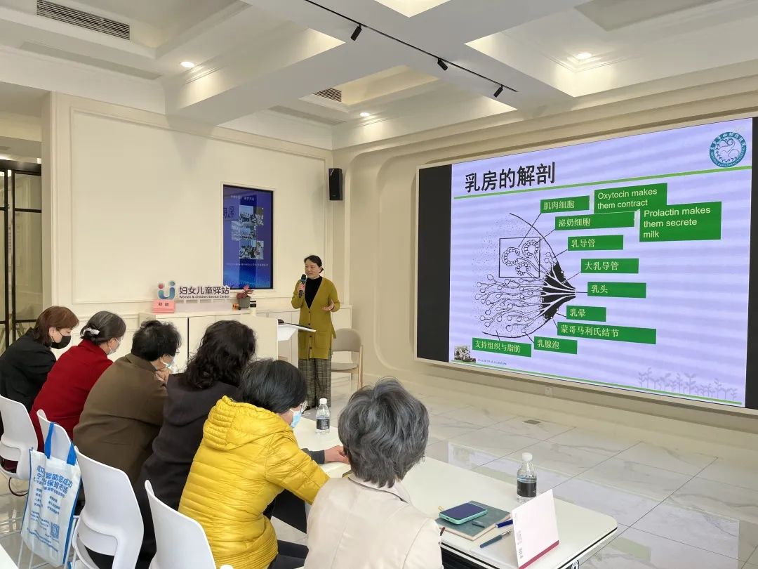 人妇系列 200人妇系列，探索与理解