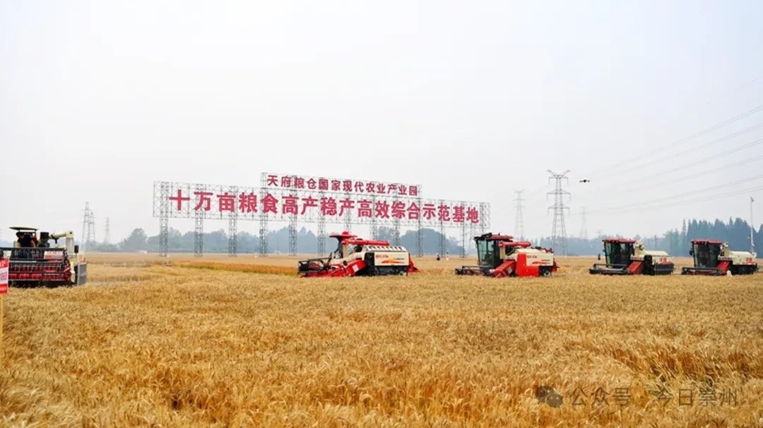 亩找出20个字亩的探索与意义-第2张图片