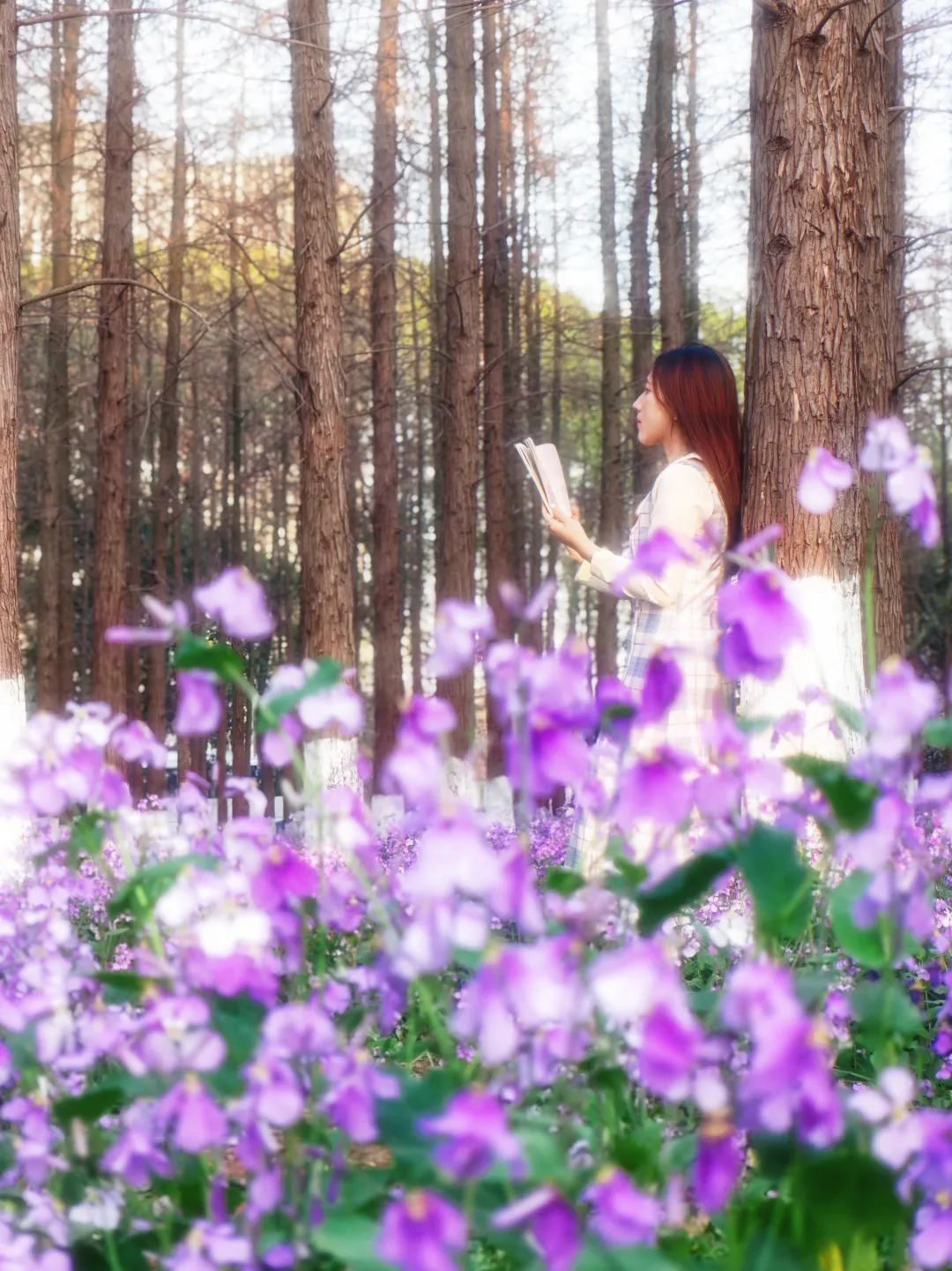 和校花一起旅游我与校花在教室的独特记忆-第3张图片