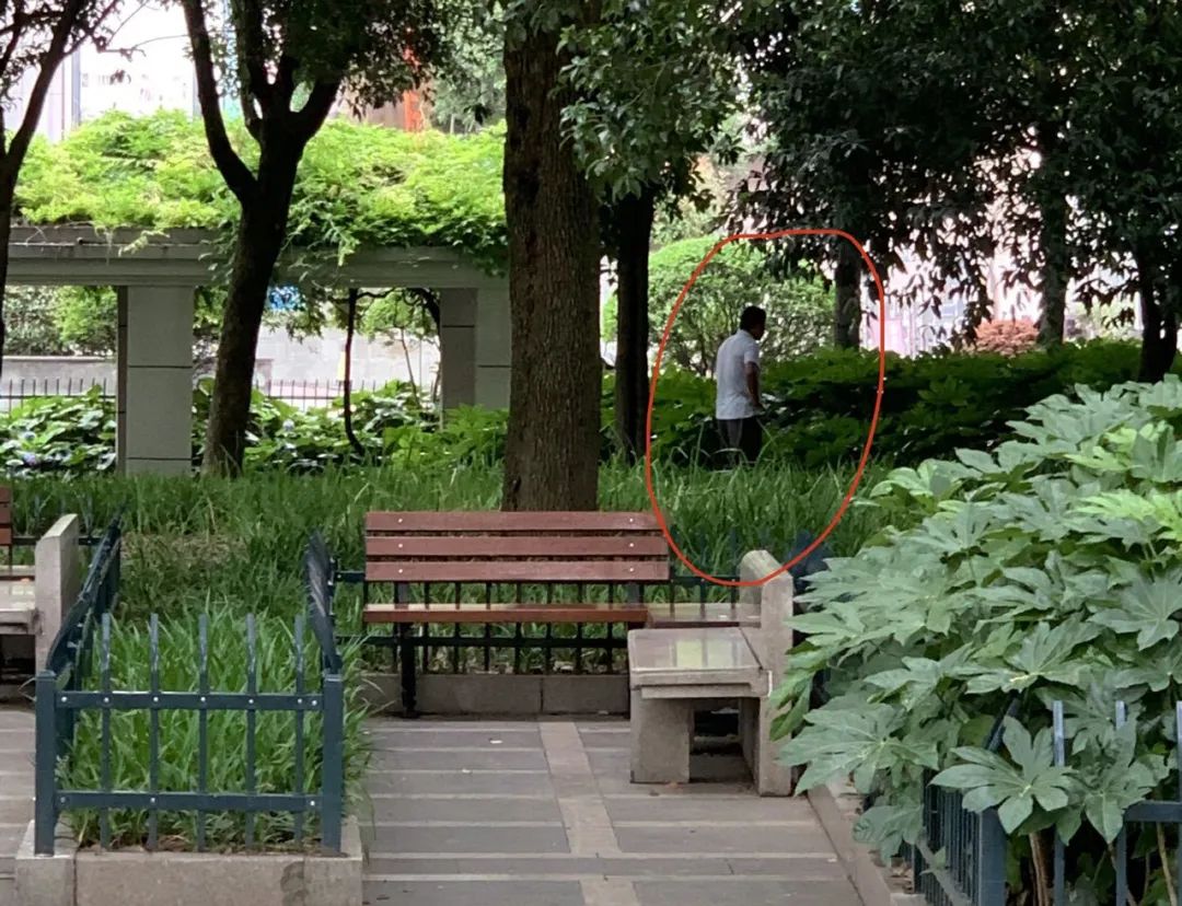 欧美尿交文化现象的探究