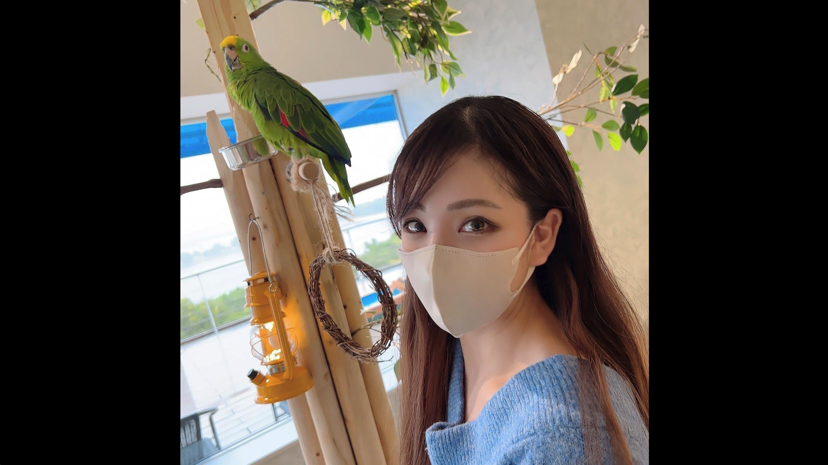 麻豆乱码国产一区二区三区探索国产视频的多元区域——麻豆乱码一区二区三区