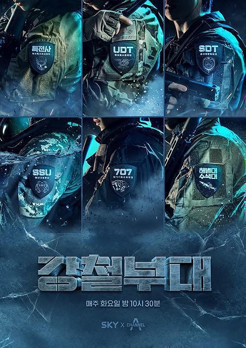 美国ZOOM动物3D美国ZOOM动物3D，探索虚拟世界中的动物王国-第1张图片