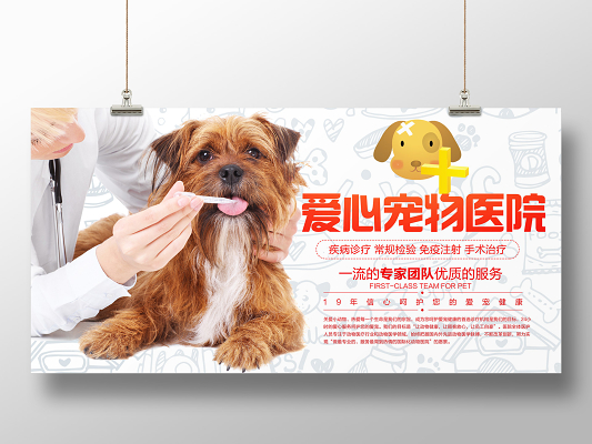 女孩和狗分不开去医院女生与爱犬，无法割舍的纽带