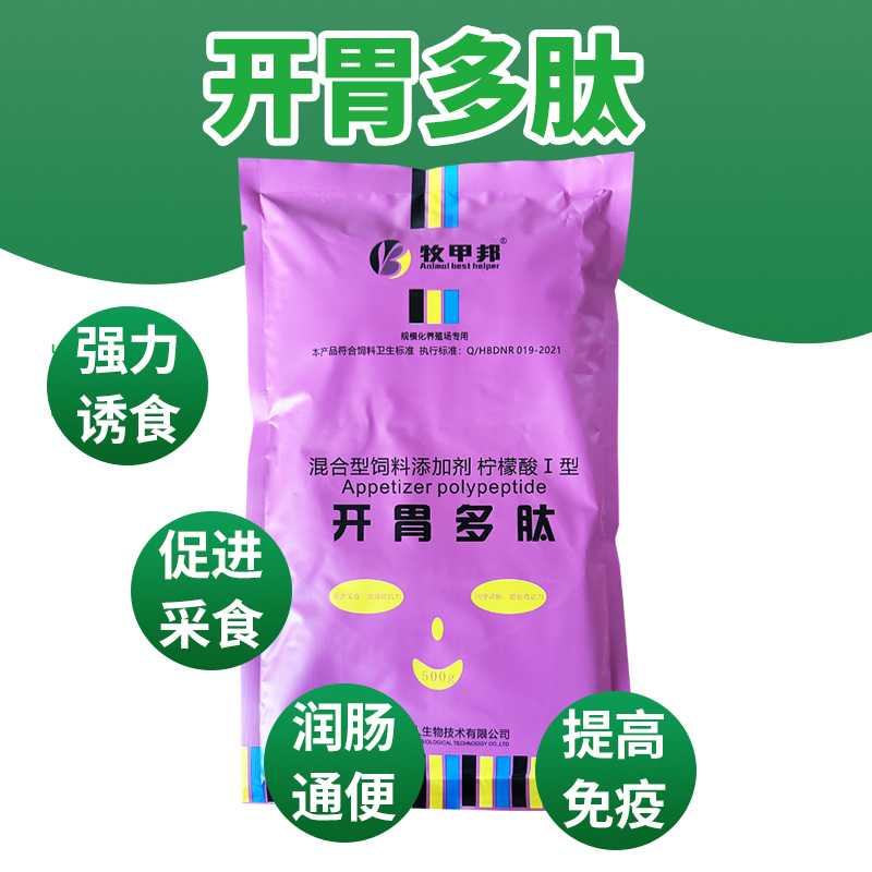 猪不戒伦理免费视频猪不戒伦理，现代社会的道德困境