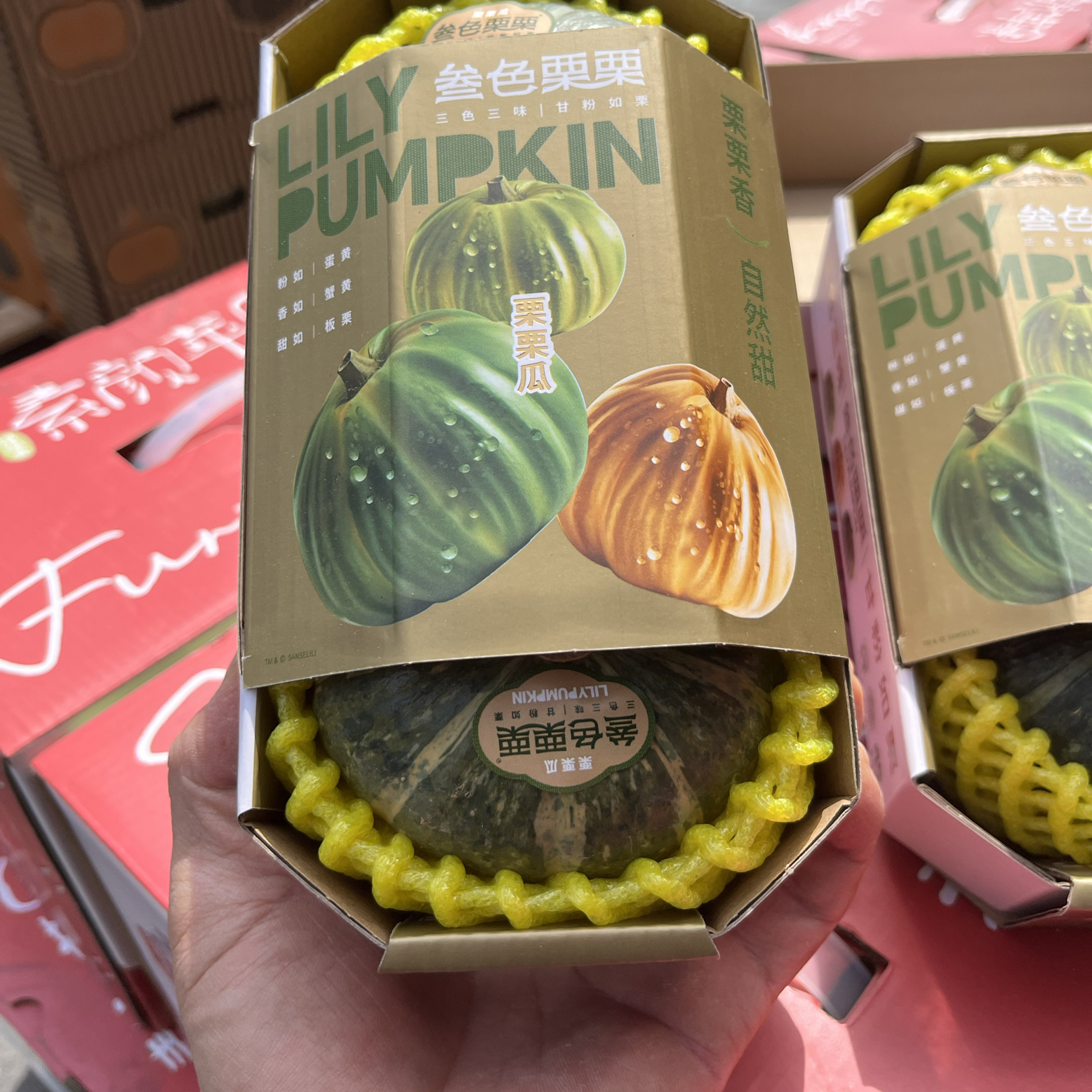 91精品国产高清久久久久久探索91精品国产高清电影的魅力之旅-第3张图片