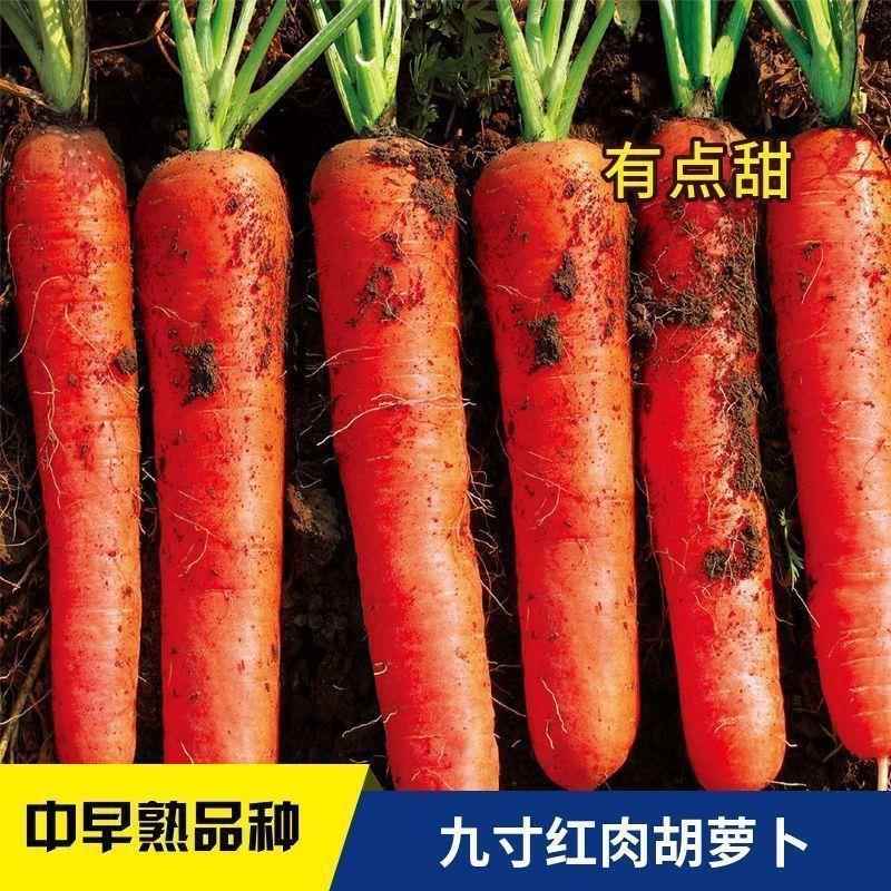 萝视频卜探索萝视频资源，从内容到影响-第2张图片