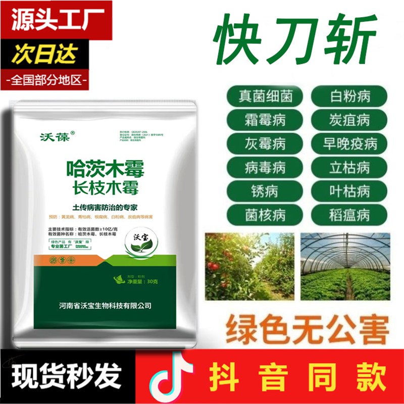 一刀插件51cqg一刀插件51cqg，高效工具的探索与使用-第1张图片