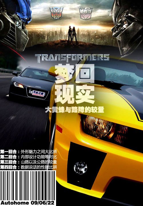 暗夜黄蜂，神秘的自然刺客-第2张图片