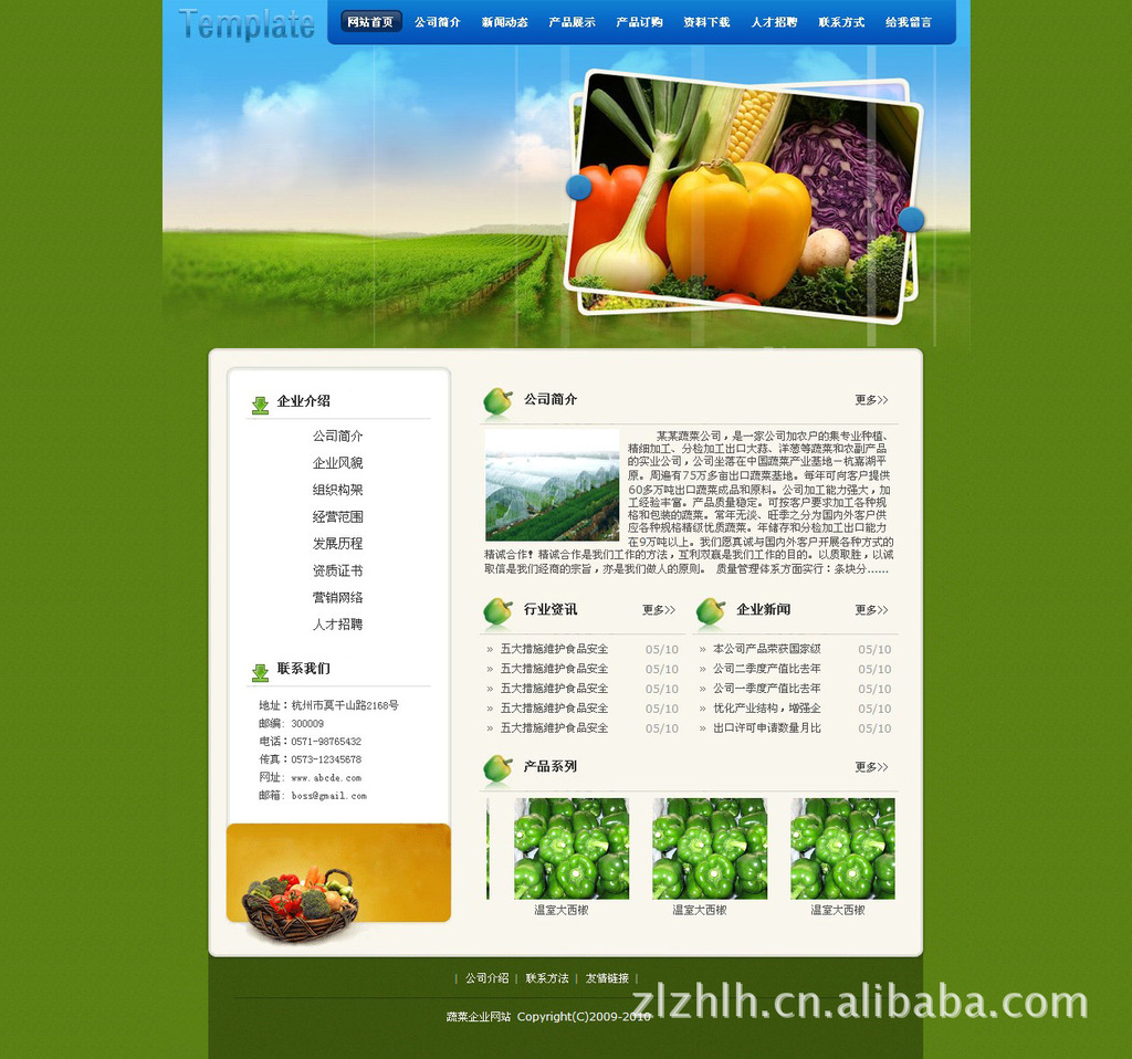 个性化网站设计个性化网站，塑造独特体验的未来趋势-第1张图片