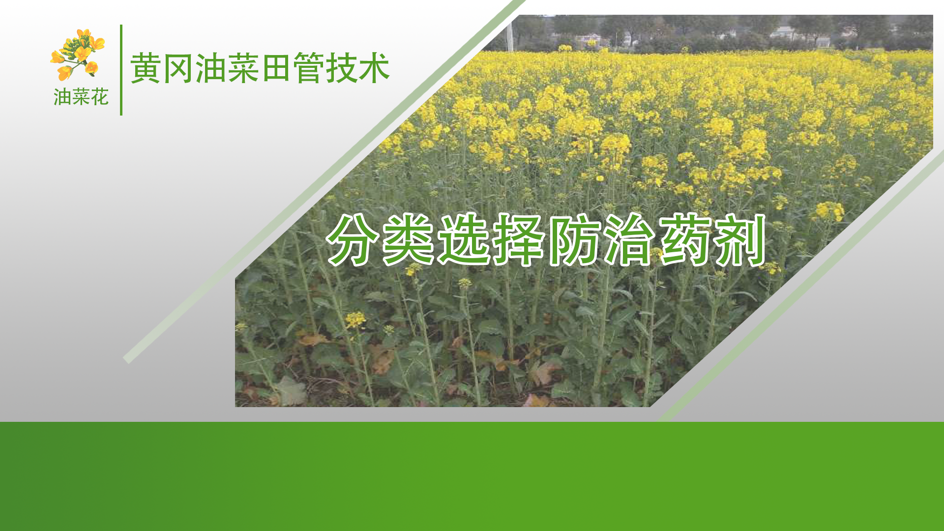 黄冈网站推广厂家，专业助力企业网络曝光与成长-第2张图片