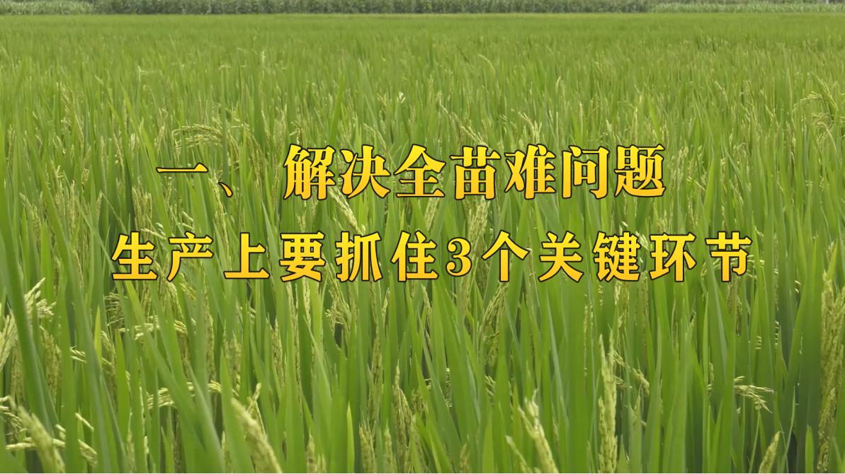 黄冈网站推广厂家，专业助力企业网络曝光与成长-第3张图片