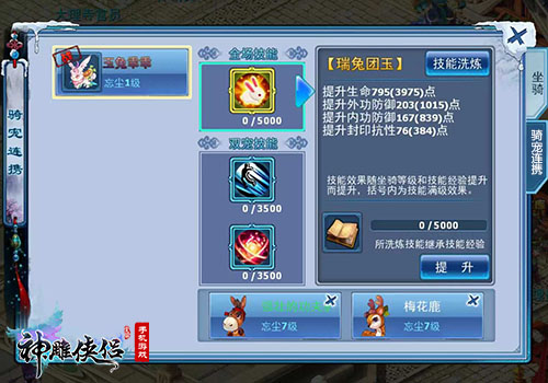 神雕侠侣宠物忘尘神雕侠侣与他们的神秘宠物-第1张图片