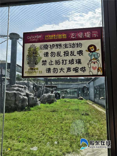 美国人与动物胶配方有几种美国人性生活的多元与开放-第2张图片