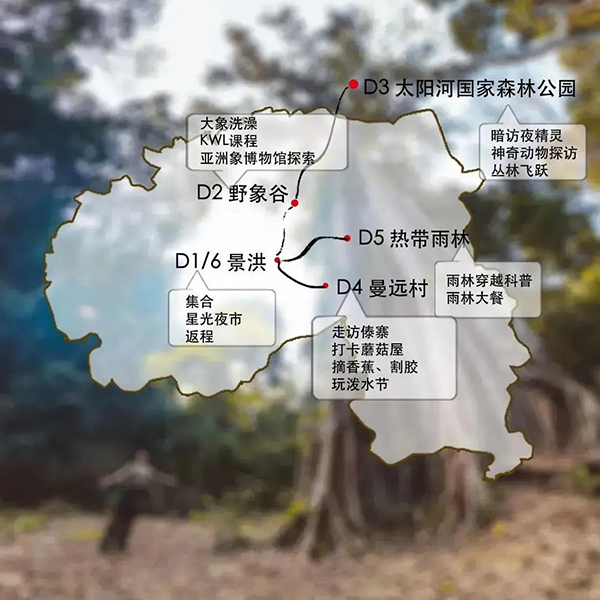 探索亚洲精品的五大区域-第2张图片