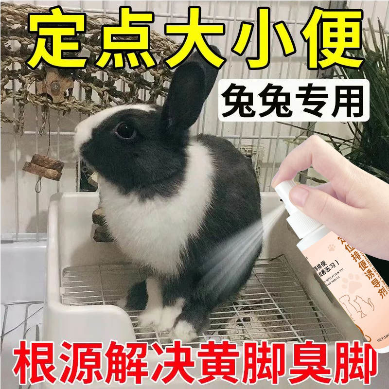 如何以正确的方式诱导对象品尝你的小兔兔-第1张图片