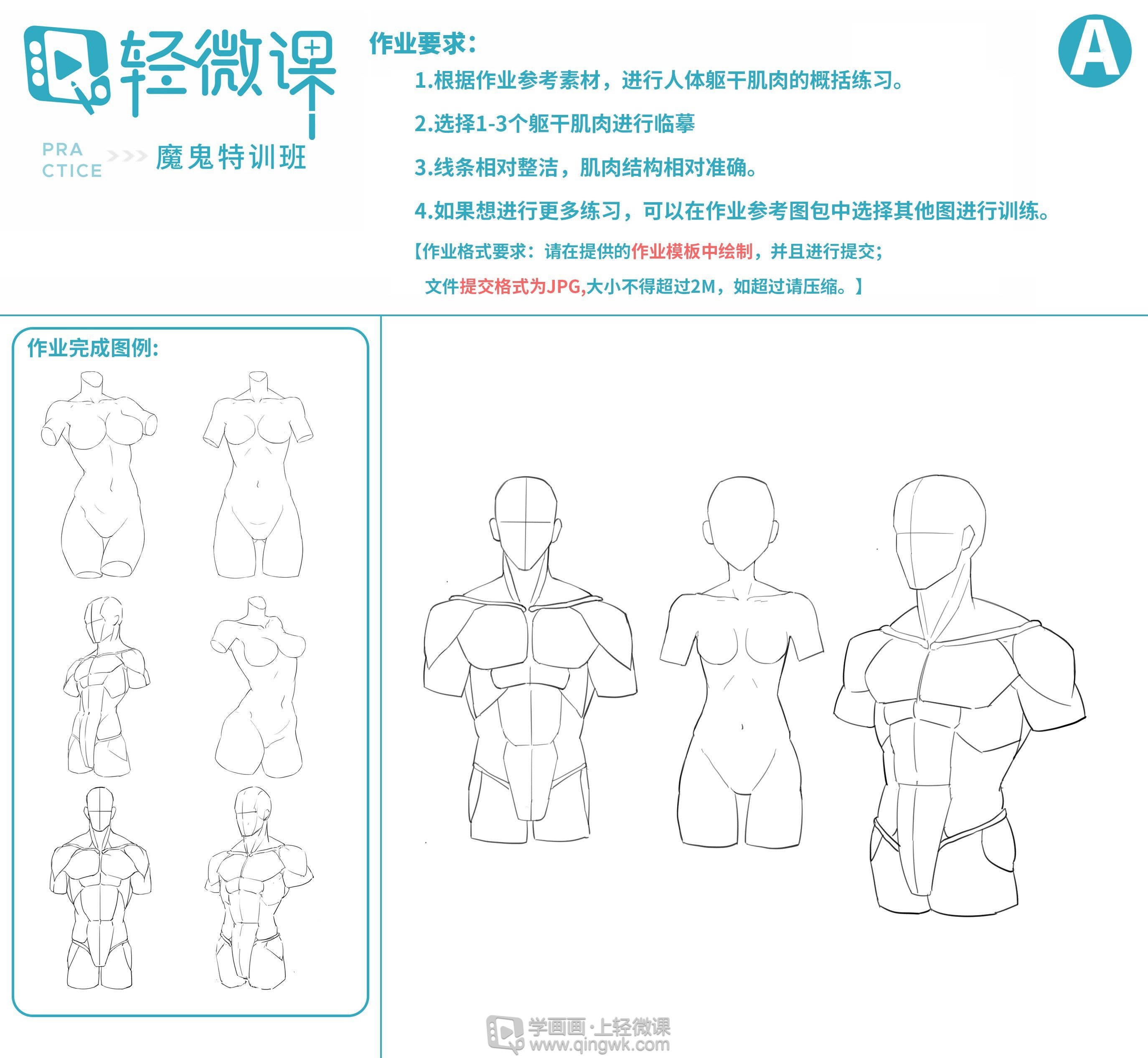 gogo人体探索gogo人体，深度解析人体奥秘-第3张图片