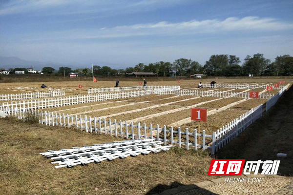 开心农场攻略开心农场攻略，从新手到高手的全面指南-第3张图片