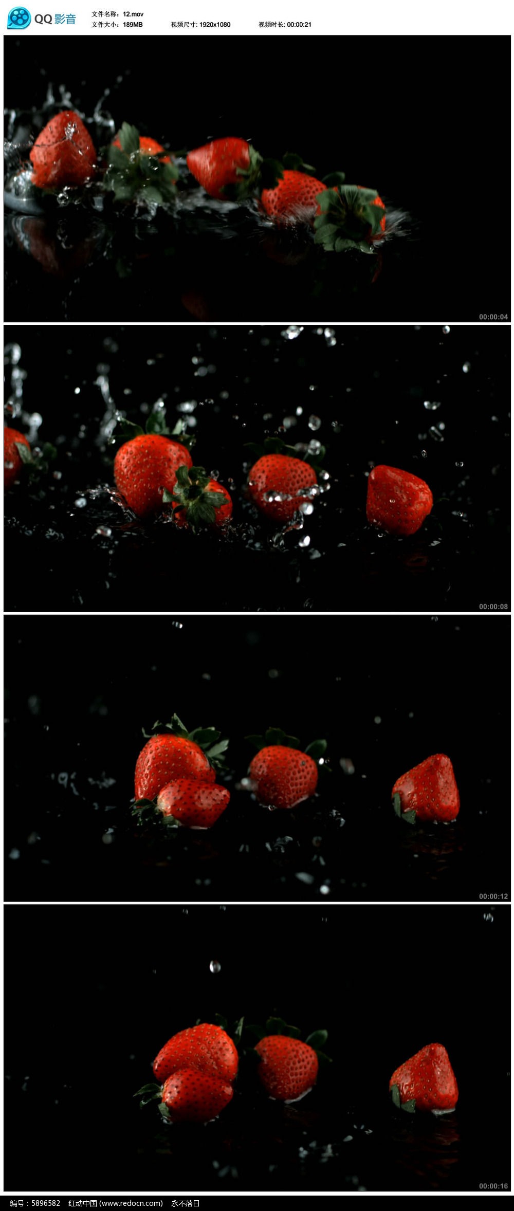 草莓视频在线观看免费观看高清完整版草莓视频在线观看，免费观看高清完整版