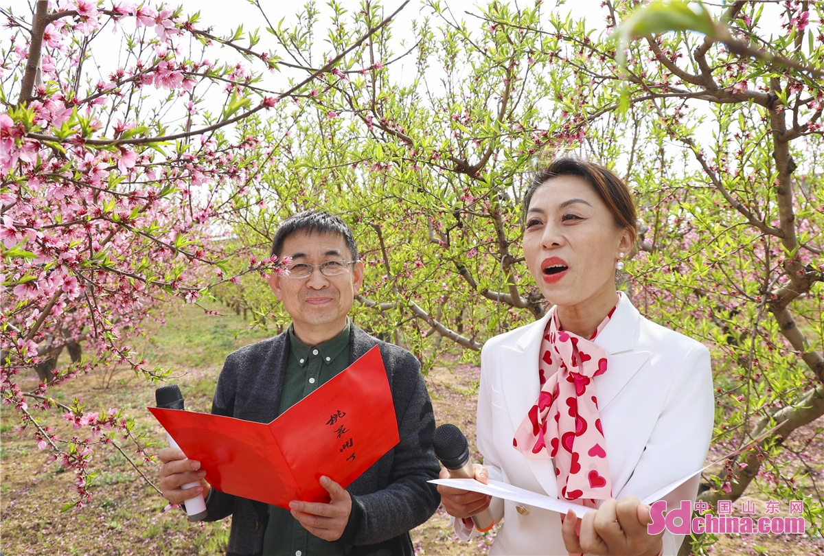 桃花直播 mp4 下载桃花直播，免费观看，精彩无边界-第2张图片