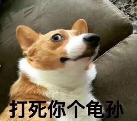 换个姿势再来一遍怎么回复对方换个姿势，再战一次——如何巧妙回应对方-第3张图片