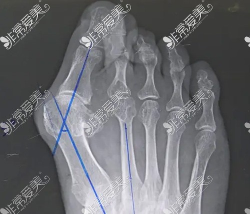 丰年轻的继拇中文3的特色和机能_第3集探索丰年轻继拇中文3的独特特色与强大机能-第2张图片