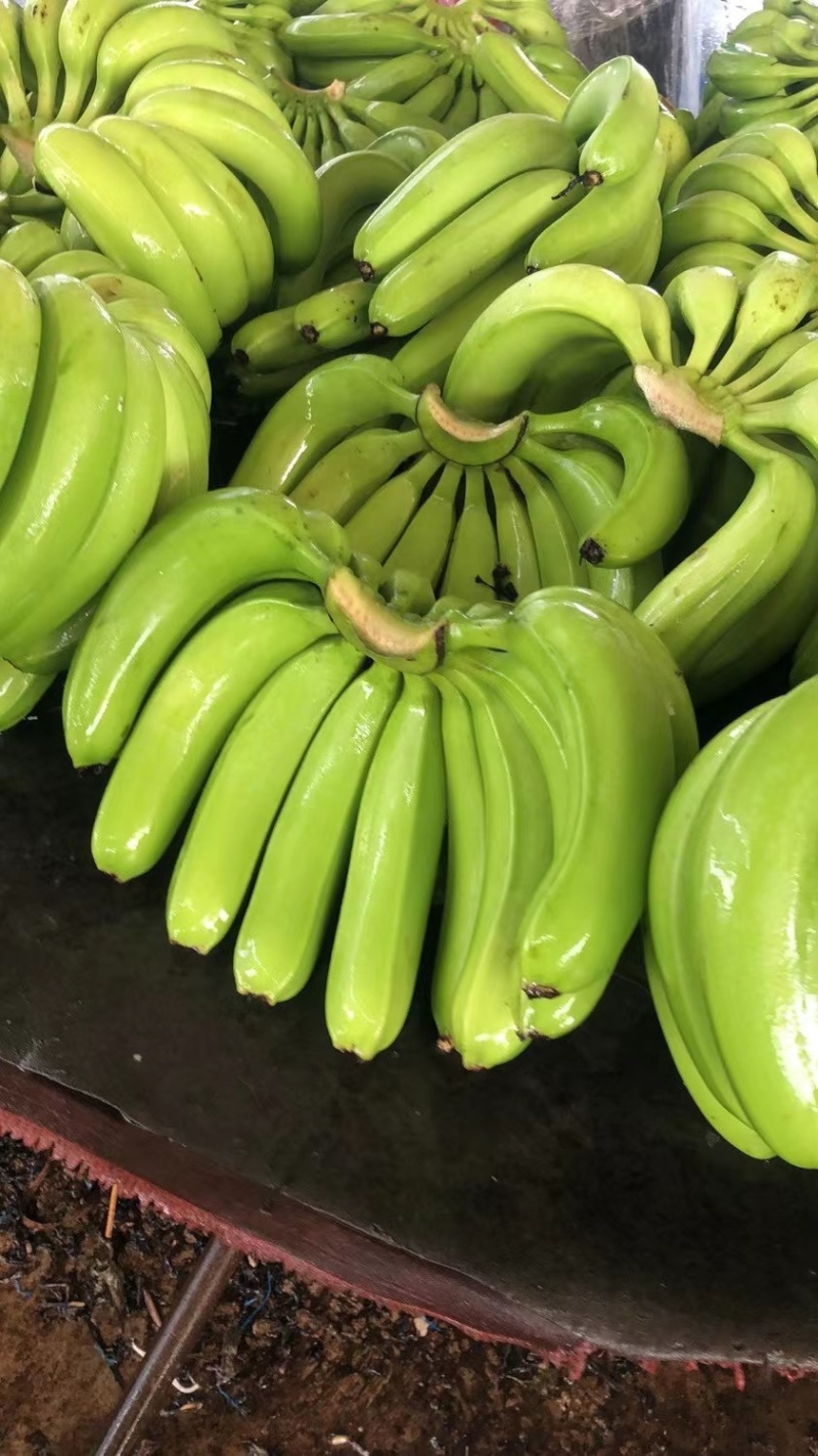 香蕉视频安装包怎么安装苹果手机香蕉视频h，了解与认识