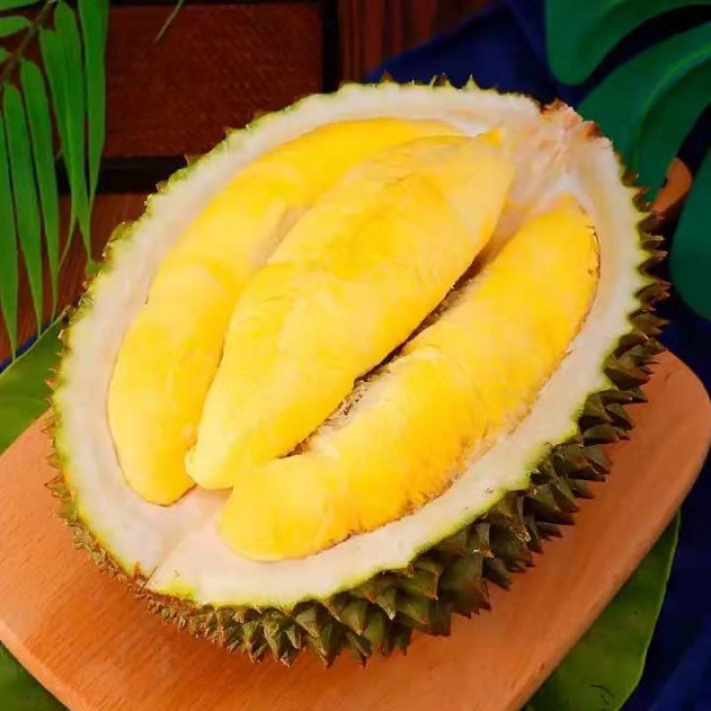 榴莲视频下载安装榴莲视频下载安装教程-第2张图片