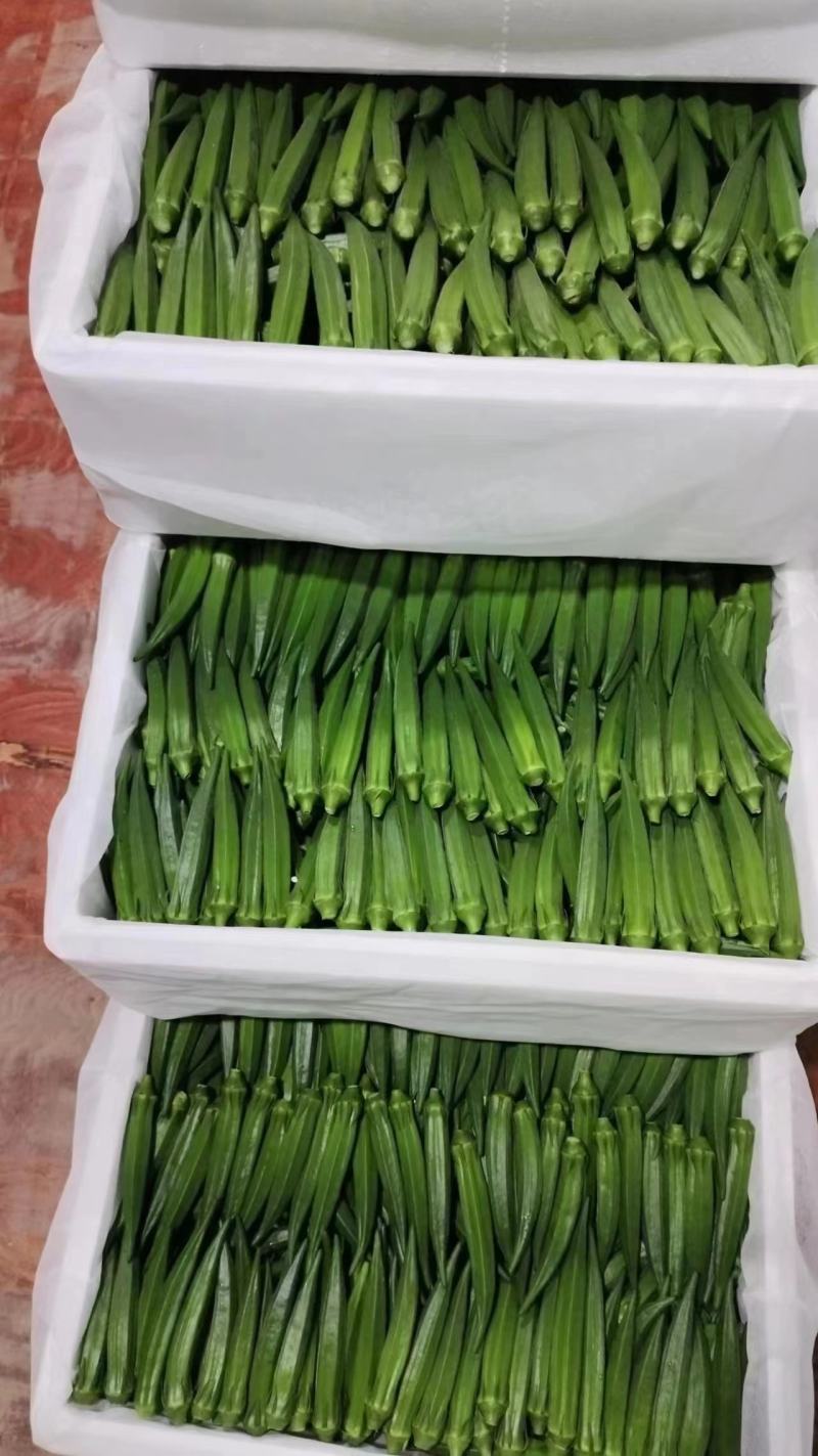 秋葵视频破解版无限次数秋葵视频破解版无限次数，探索与警示-第2张图片