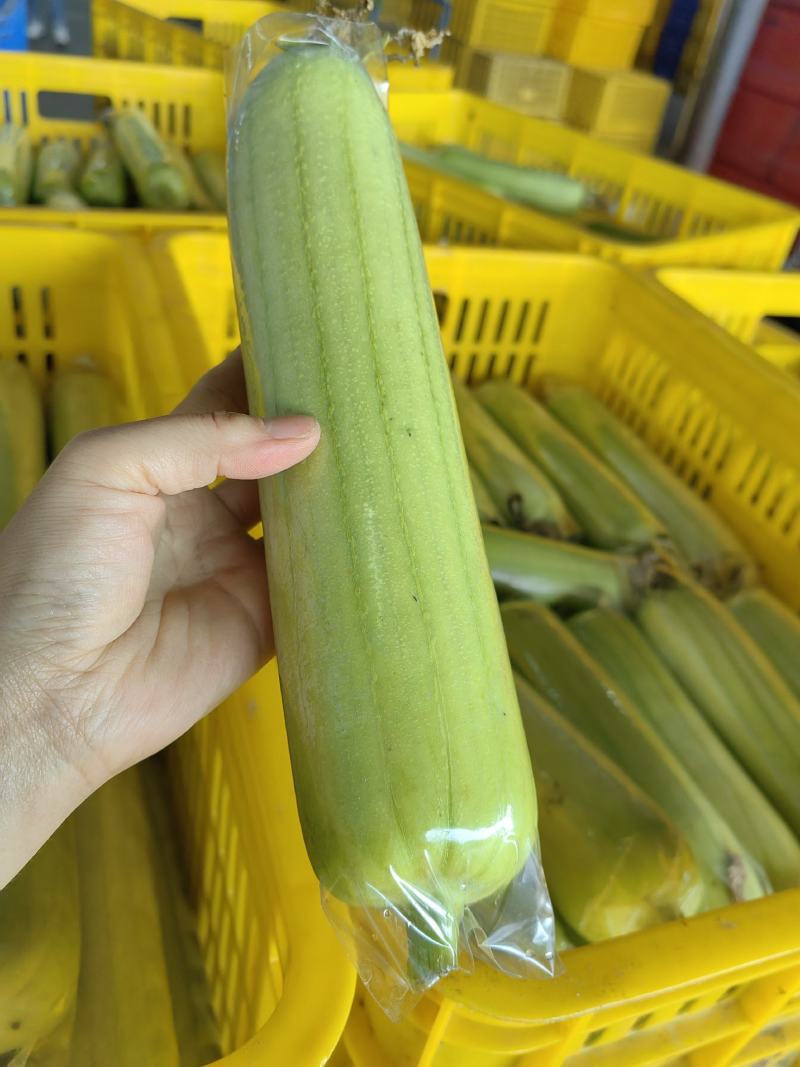 丝瓜茄子草莓榴莲视频在线探索多元果蔬的魅力——丝瓜、茄子、草莓与榴莲的在线视频解析-第3张图片