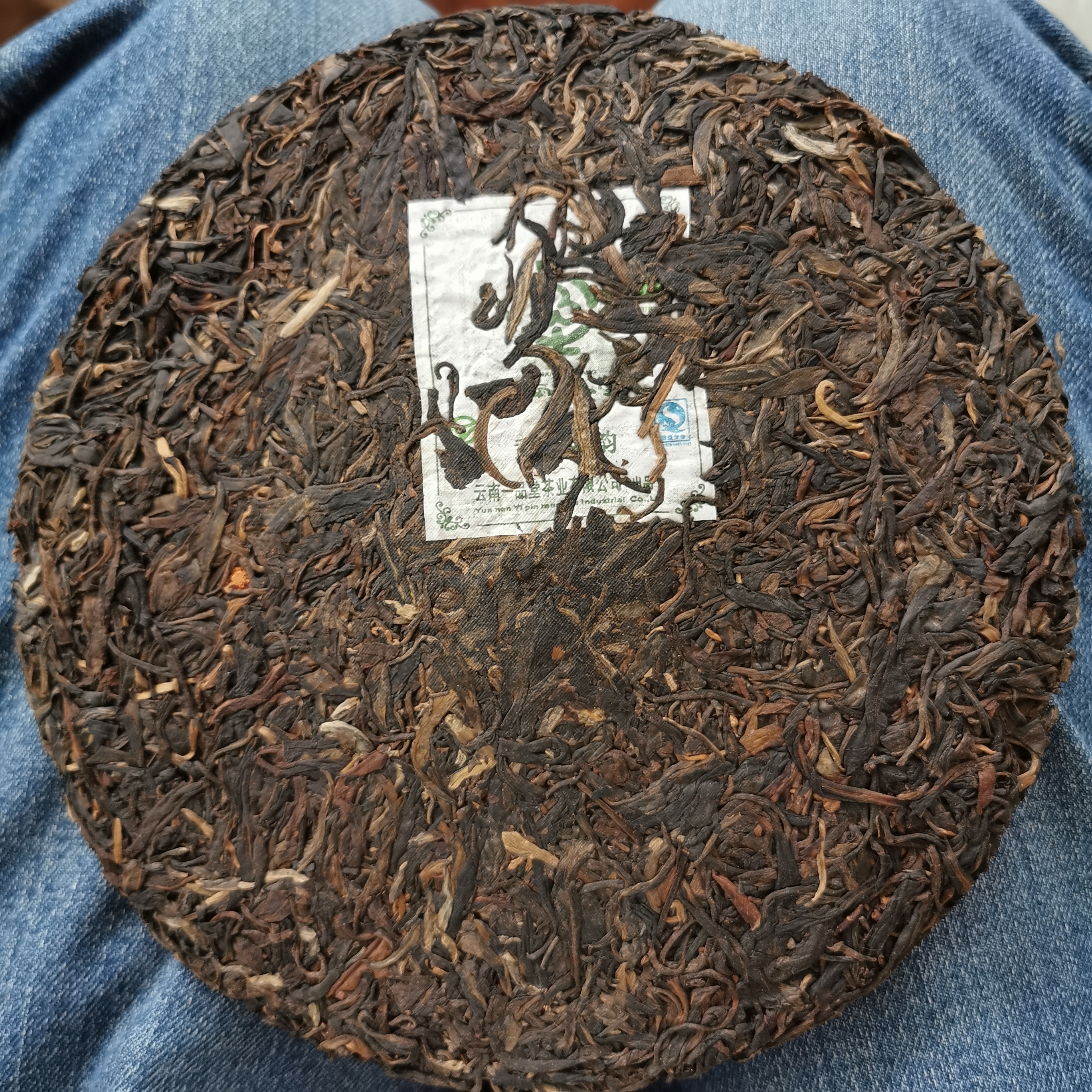 一品堂论坛信息品色一品堂，品味生活的艺术殿堂
