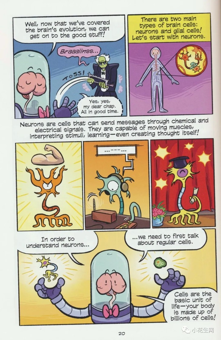 探索教育漫画中的趣味世界——以老师的奶好大下面好紧为例