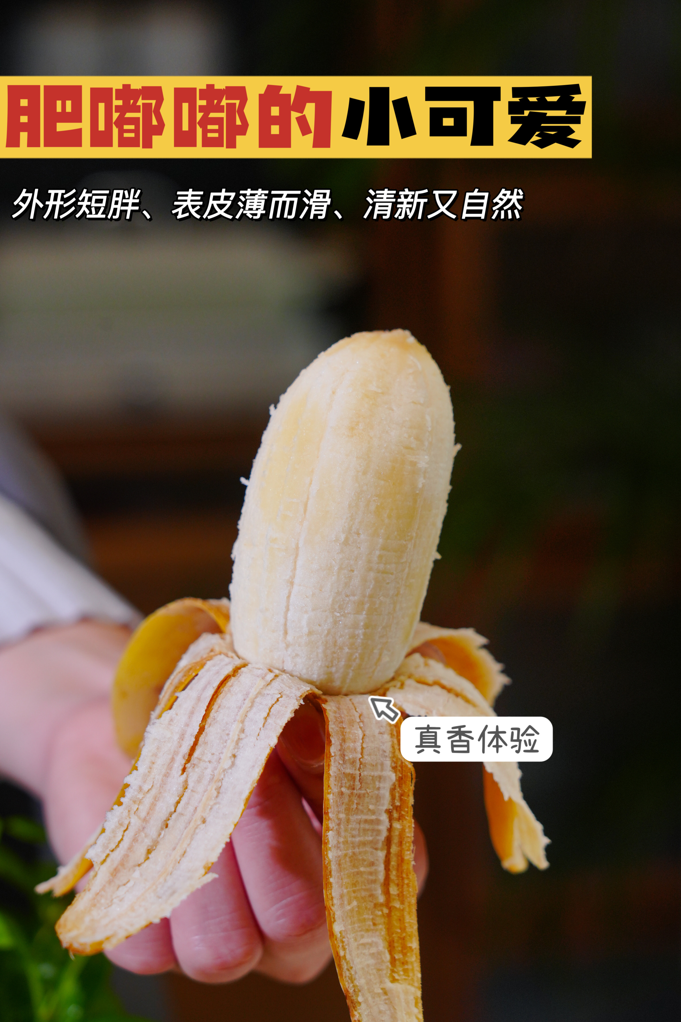 香蕉频蕉app无线次数香蕉频蕉app下载安卓，探索移动娱乐新体验-第2张图片