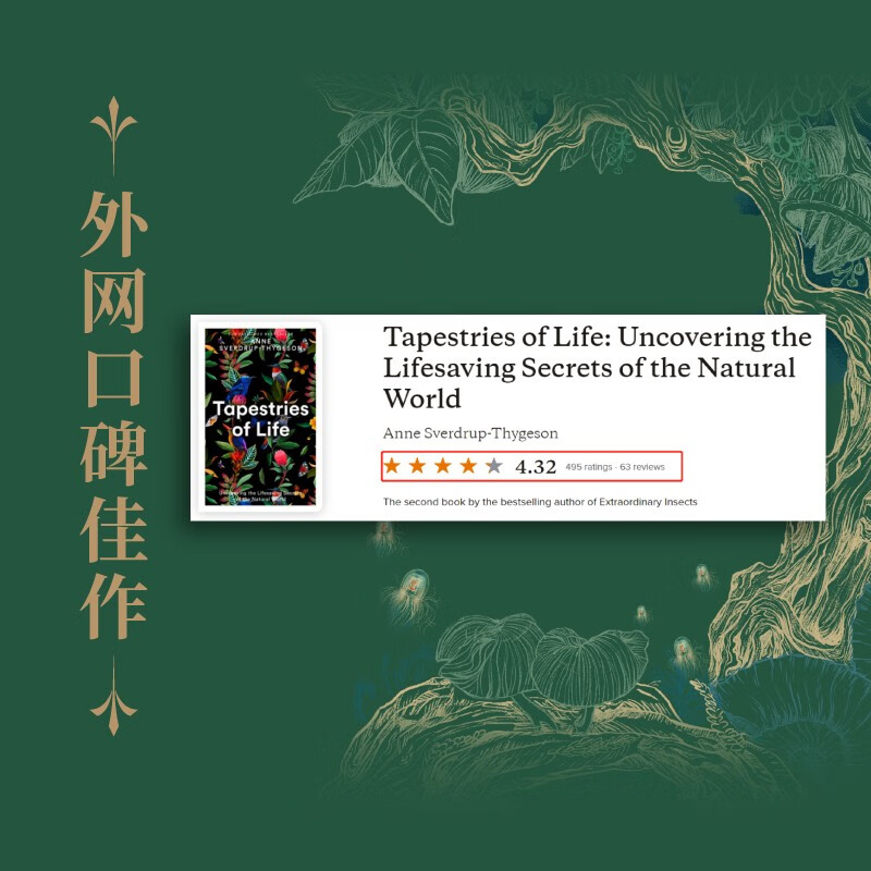 探索多元魅力——从麻豆精东乌鸦蜜桃天美果冻看现代审美文化