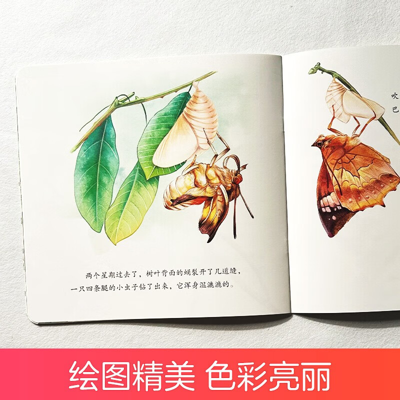 97干97吻探索97干97吻的奥秘-第3张图片