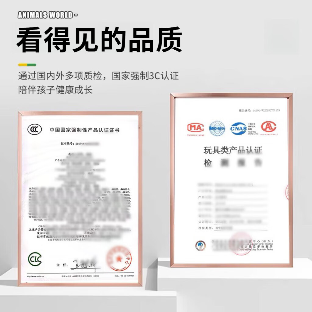 穿越时空的三角龙坐骑