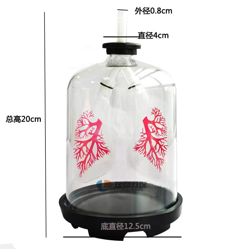 我成了生物课的教具篇1关键词视频我，成为生物课的教具-第2张图片