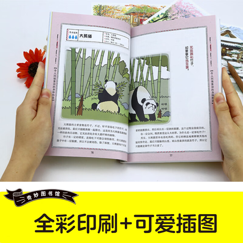 奇妙漫画免费漫画平台在线阅读奇妙漫画，免费漫画平台的魅力与探索-第3张图片