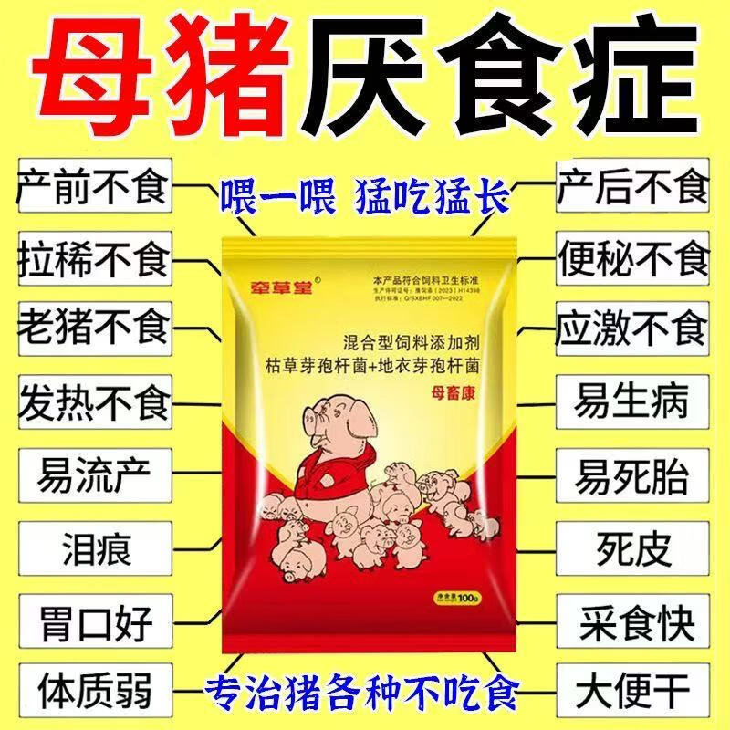 猪不戒伦理免费视频猪不戒伦理，现代社会的道德困境-第2张图片