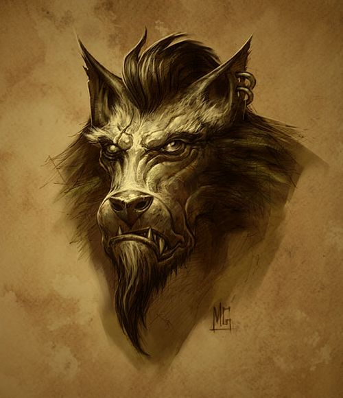 魔兽世界狼人，神秘种族的力量觉醒-第1张图片