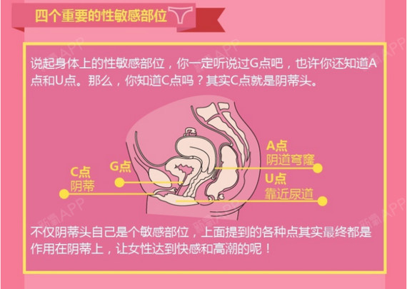 探索女性私密部位——大荫蒂的独特之处-第1张图片
