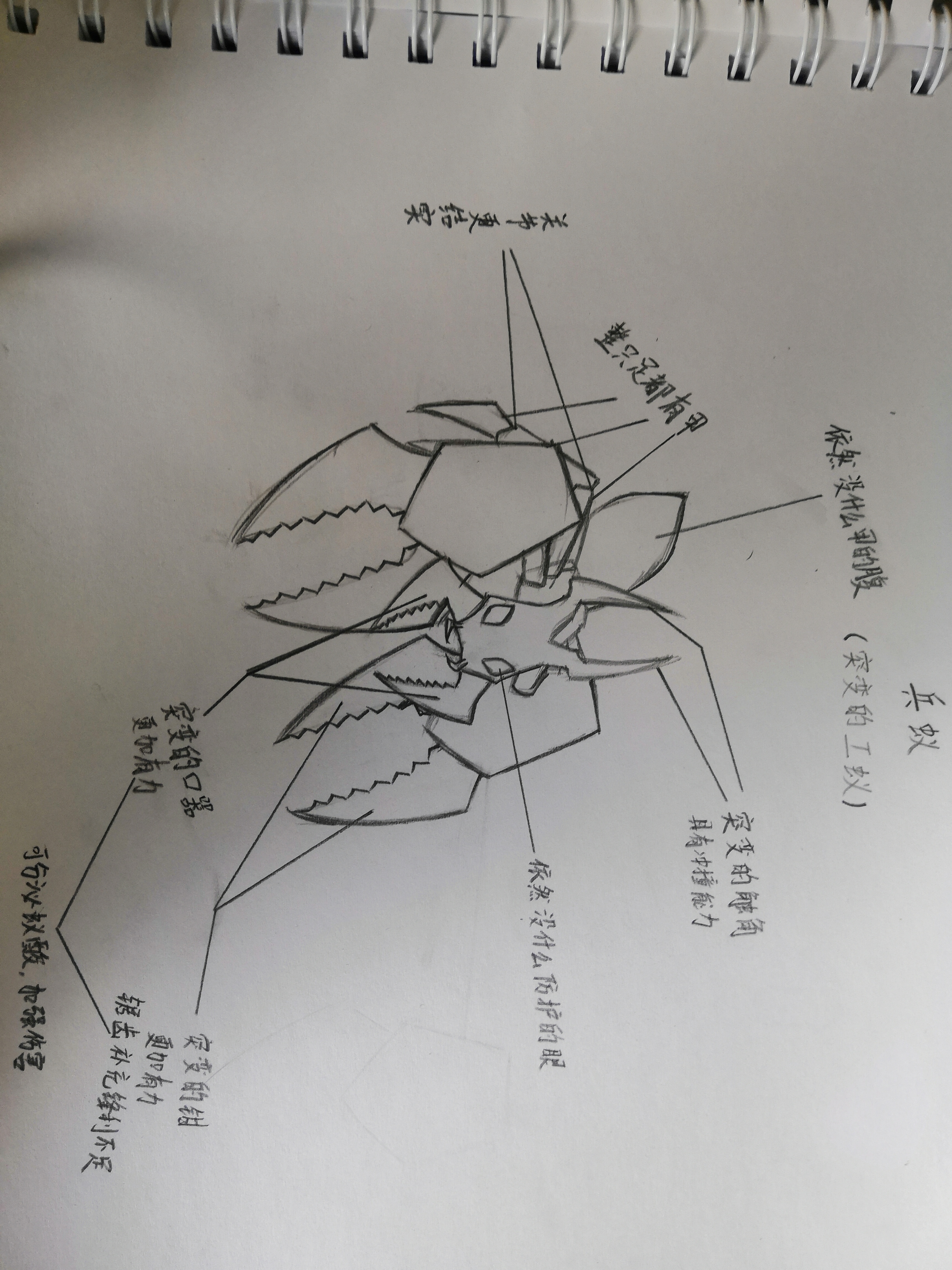 迷雾狩猎蚁蚁后哔哩哔哩迷雾狩猎之旅，记一次难忘的12-3挑战-第1张图片
