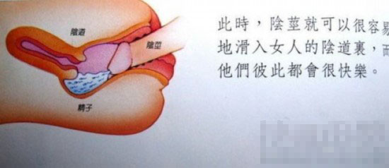 关于荫蒂被男人添的A片视频，探讨性教育、道德与法律问题-第3张图片